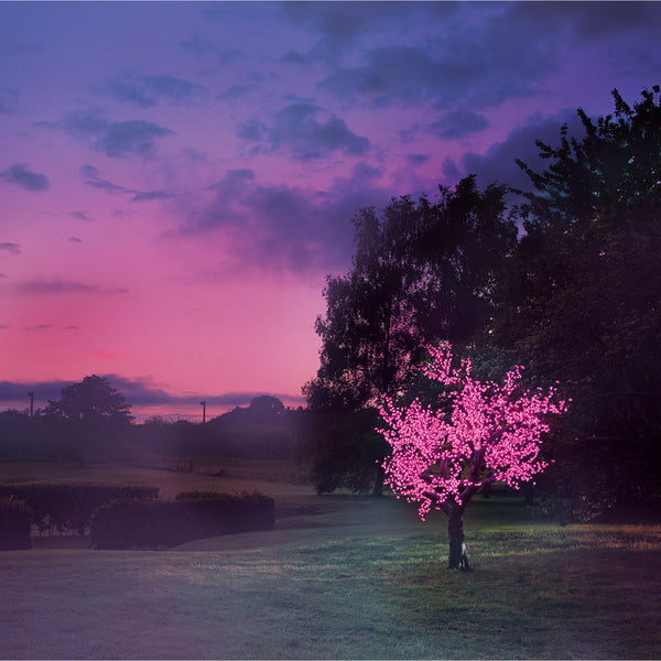 Enchanted Tree - 3 metre LED Pink Blossom, No Leaves