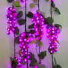 Vines - Pinot Purple LED bunches