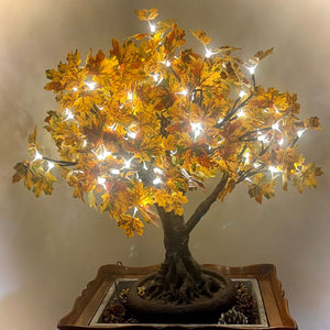 Lumenbloom Tree Enchanted Trees - Stunning Illuminated LED Blossom Trees