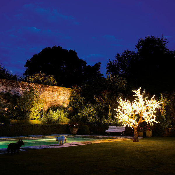 Enchanted Tree - 3 metre LED White Blossom, No Leaves