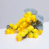 Grapes - Sauvignon Green LED bunches