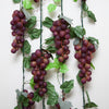 Vines - Pinot Purple LED bunches