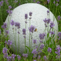 Enchanted Globe – Portland Stone