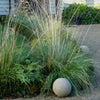 Enchanted Globe – Sandstone