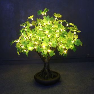 Enchanted Tree – 0.6m Green Maple Bonsai Tree