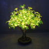 Enchanted Tree – 0.6m Green Maple Bonsai Tree